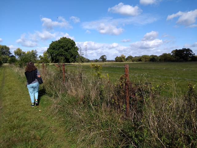 Open views from the Path. Canford Magna
