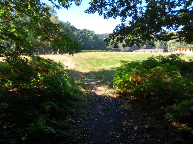 behind-the-guide-camp