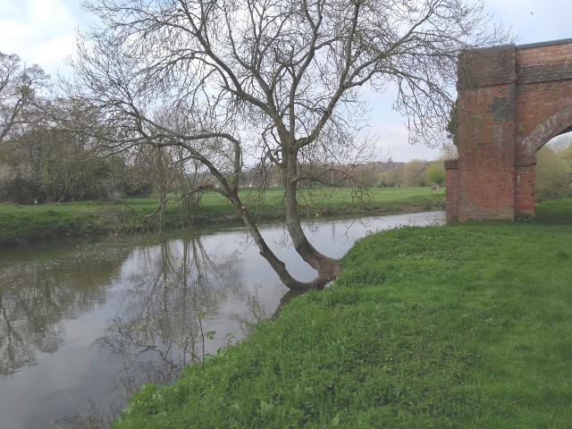View from Langton Meadow to Stour Meadow