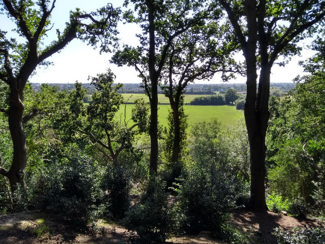 Dudsbury Hill Fort View