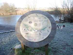 kingfisher-plaque