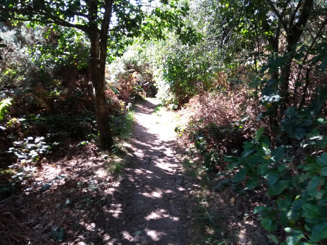 The stour Valley Way path decscends to the river