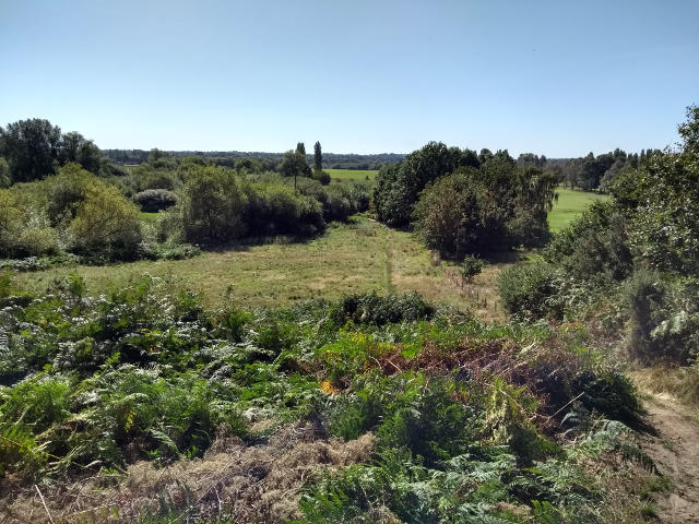 The field at the bottom of the path