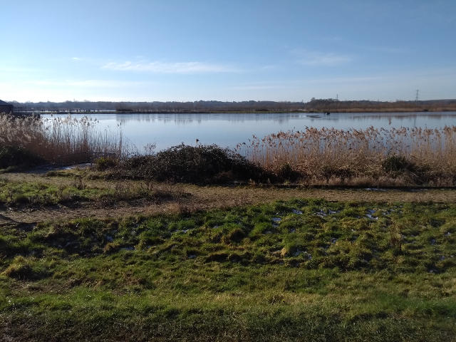 Longham Fishing Lake