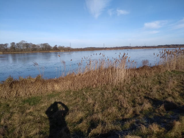 Longham main lake