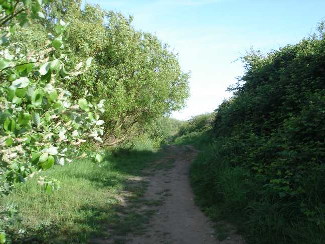 Occasionally the path widens out