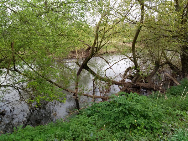A river view along the way to the Kingfisher Centre