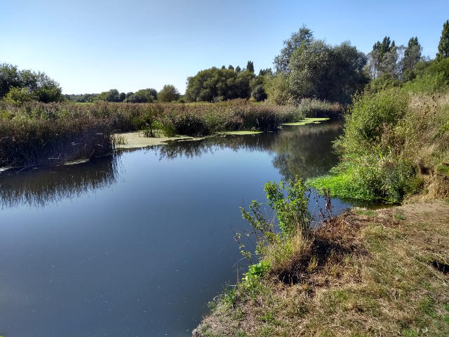 The river Stour between West parley and Longham