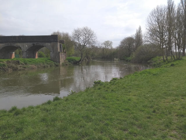 Stour Meadow view of bridge on Langton meadow