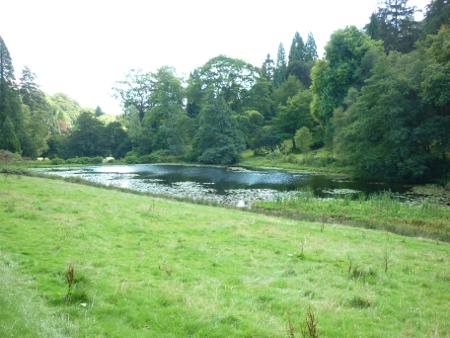 images/stourhead-top-lake.jpg