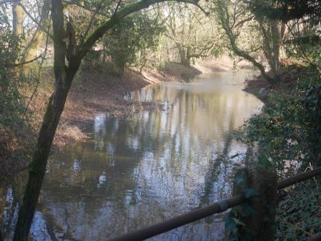 Throop Mill outflow stream