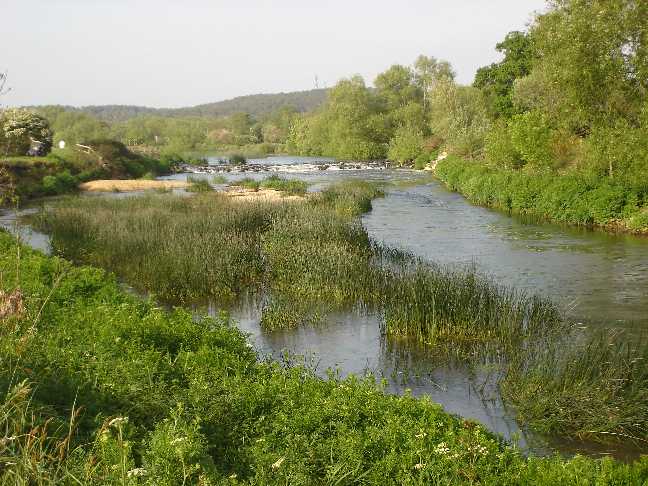 images/towardsrapids.jpg