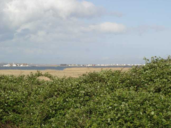 Across Christchurch Harbour
